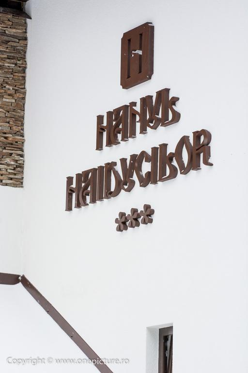 Hanul Haiducilor Obârşia-Lotrului Exterior foto