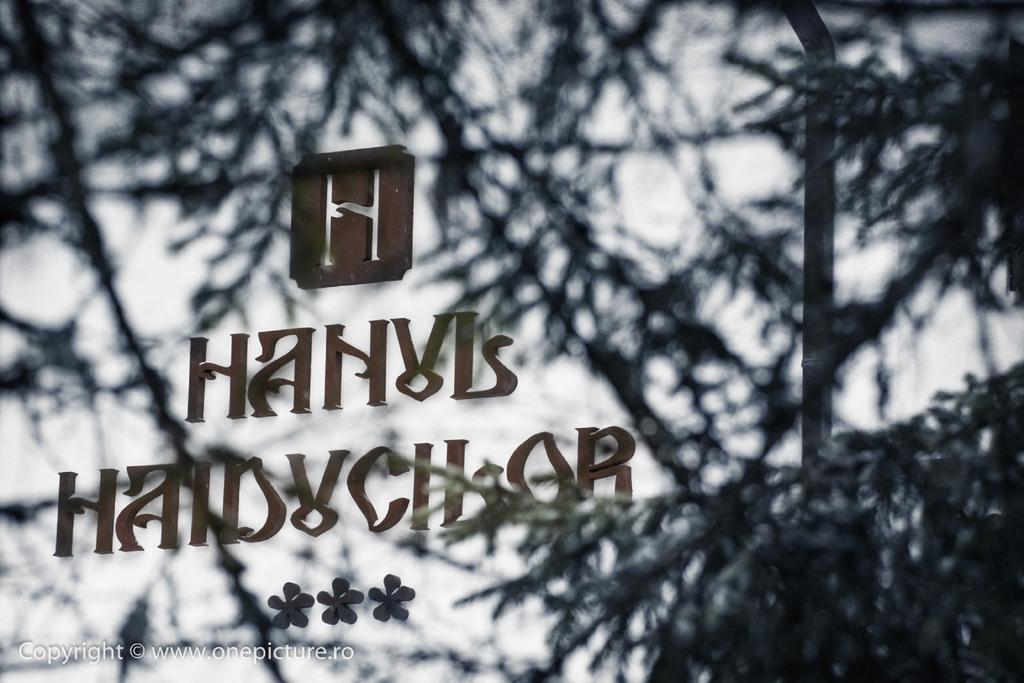 Hanul Haiducilor Obârşia-Lotrului Cameră foto